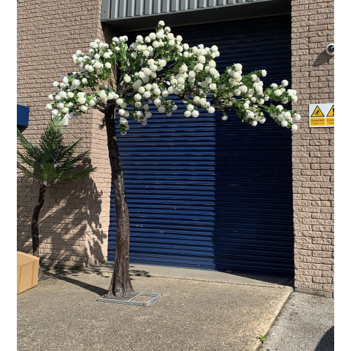 310cm Canopy Arch Rose Tree - Ivory