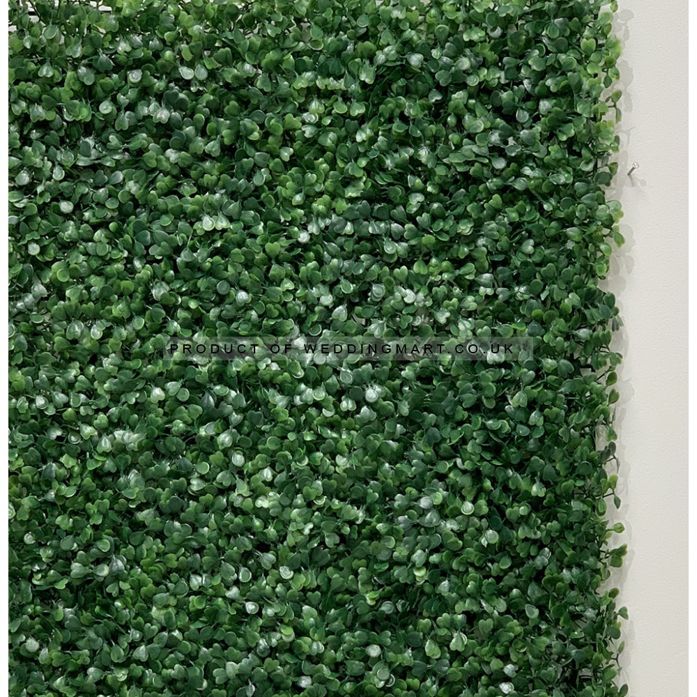 Dark Green Boxwood Topiary Hedge Wall Panel UV 60x40cm - UV Protected