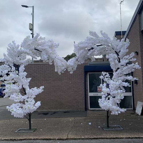 300cm Cherry Blossom Love Arch with Detachable Branches - White