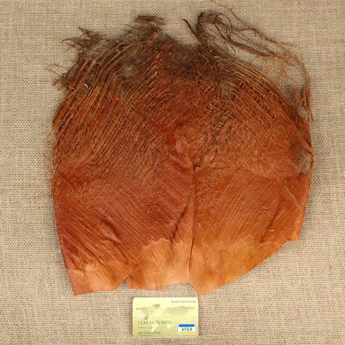Assorted Artificial Palm Tree Bark