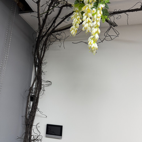 300cm Flexible Artificial Tree Vine – Wholesale Tree Leaves and Sprays for Wedding Decorators | WeddingMart