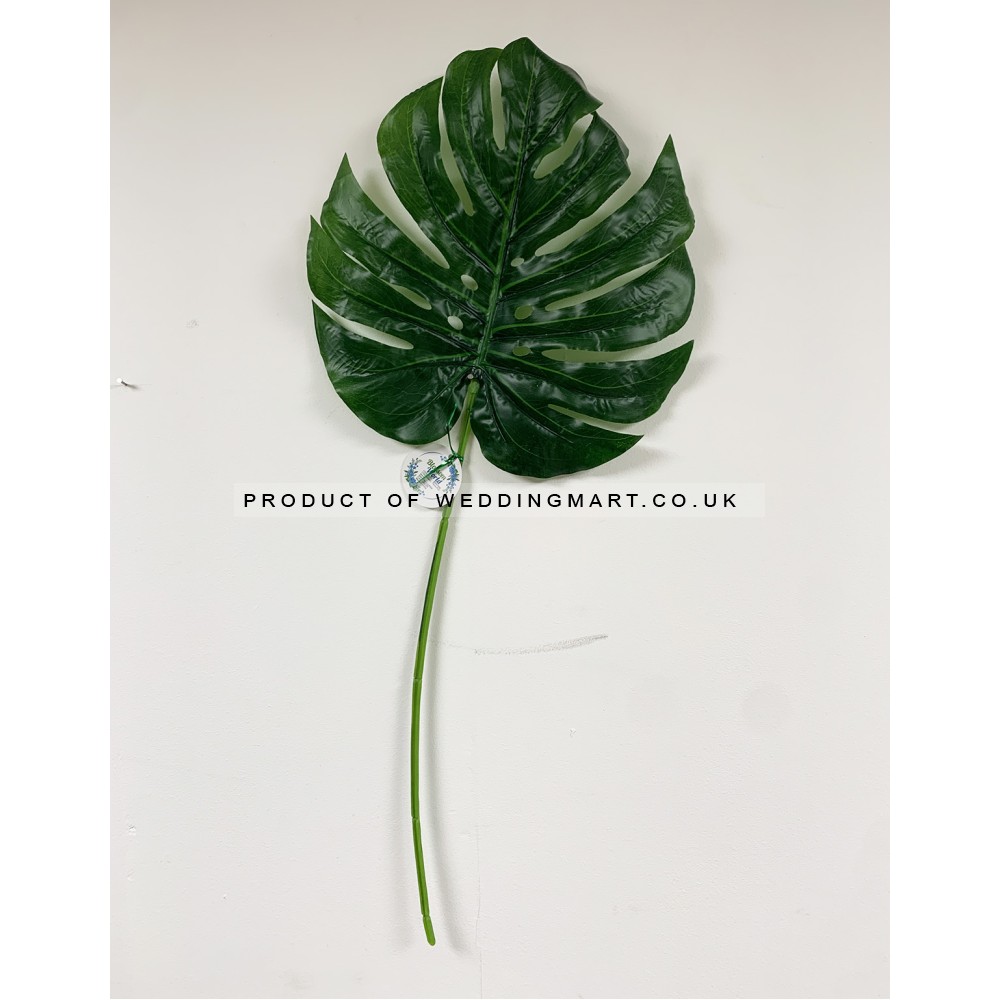 68cm Giant Split Philo Leaf