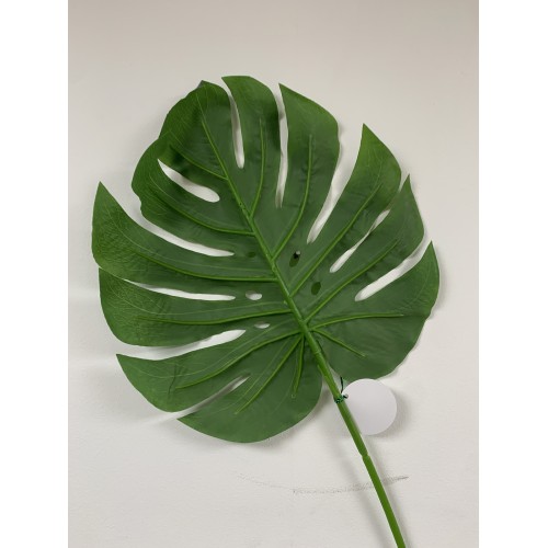 68cm Giant Split Philo Leaf