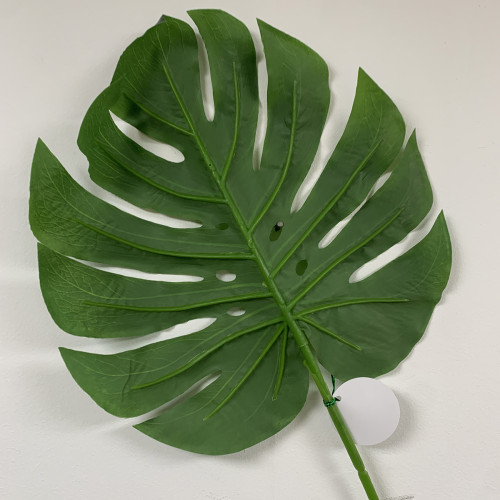 68cm Giant Split Philo Leaf – Wholesale Tree Leaves and Sprays for Wedding Decorators | WeddingMart