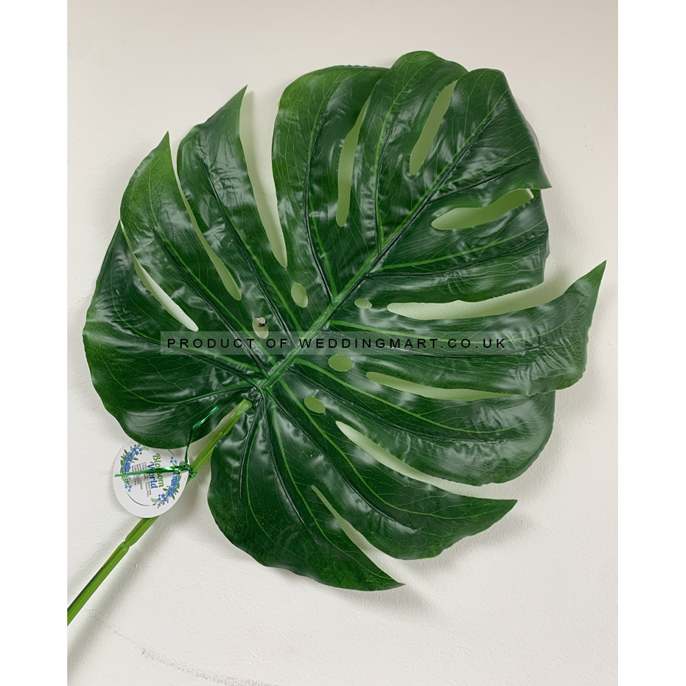 68cm Giant Split Philo Leaf