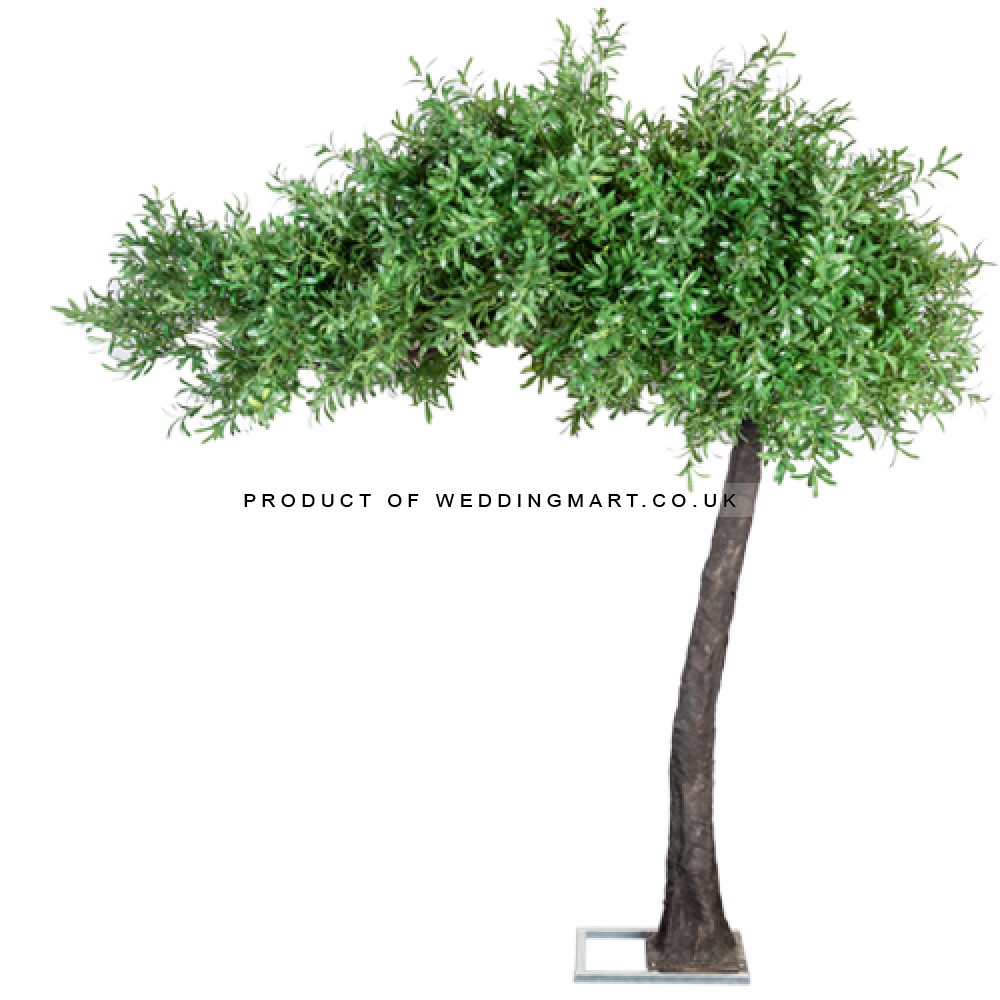 310cm Artificial Canopy Arch Style Olive Tree – Wholesale Canopy Arch Trees for Wedding Decorators | WeddingMart