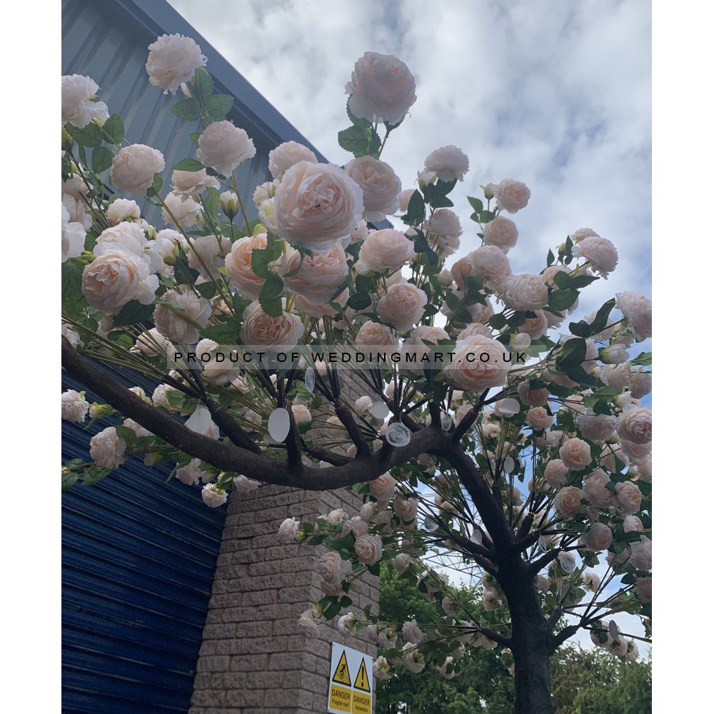 310cm Canopy Arch Rose Tree - Peach