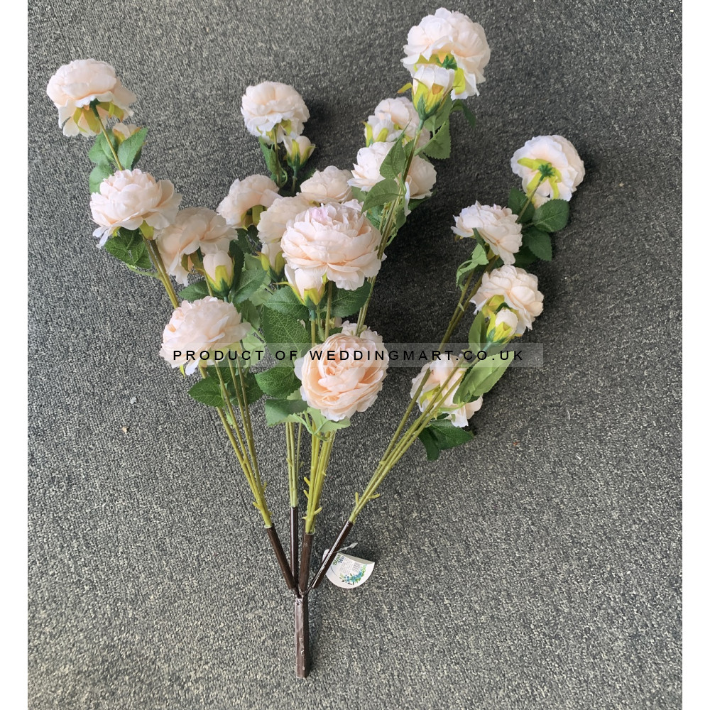 310cm Canopy Arch Rose Tree - Peach