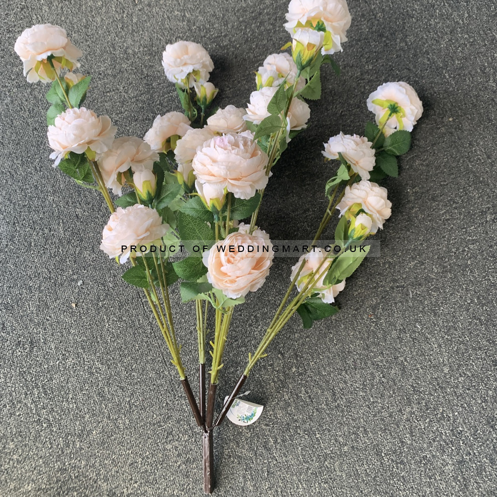 310cm Canopy Arch Rose Tree - Peach