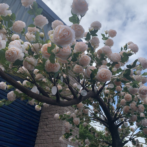 310cm Canopy Arch Rose Tree - Peach – Wholesale Canopy Arch Trees for Wedding Decorators | WeddingMart