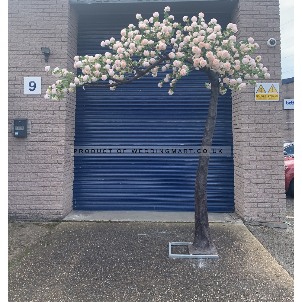 310cm Canopy Arch Rose Tree - Peach
