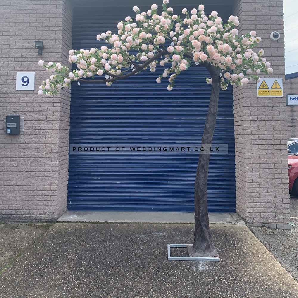 310cm Canopy Arch Rose Tree - Peach
