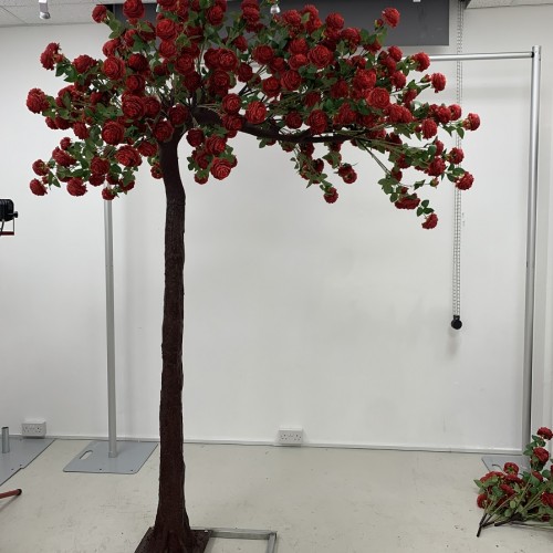 250cm Canopy Arch Rose Tree - RED