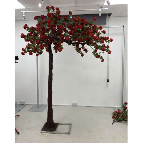 250cm Canopy Arch Rose Tree - RED