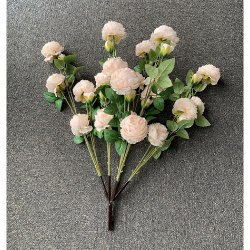 190cm Canopy Arch Rose Tree - PEACH