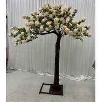 190cm Canopy Arch Rose Tree - PEACH