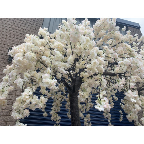 250cm Artificial Weeping Cherry Blossom Canopy Tree - IVORY