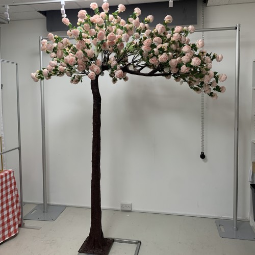 250cm Canopy Arch Rose Tree - Pink