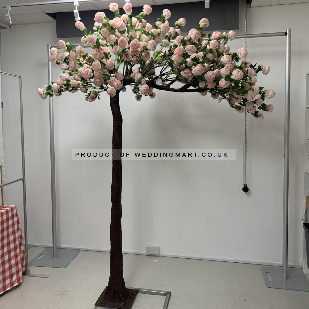 250cm Canopy Arch Rose Tree - Pink