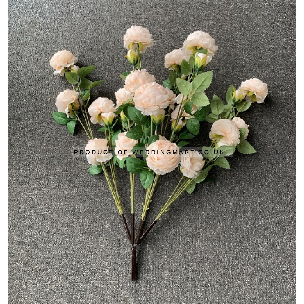 250cm Canopy Arch Rose Tree - Peach