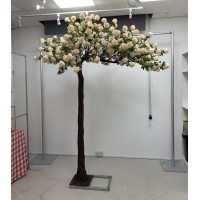 250cm Canopy Arch Rose Tree - Peach