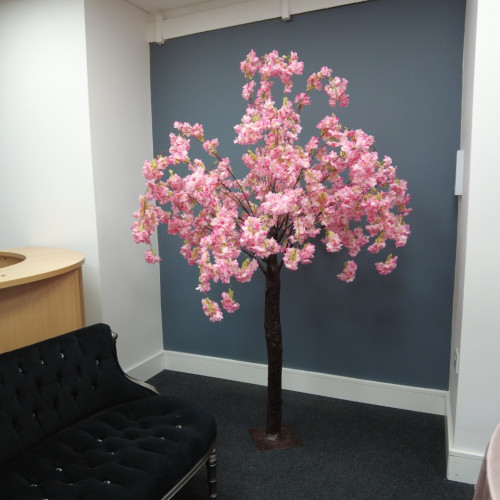 200cm Artificial Weeping Blossom Tree with Interchangable Branches - PINK – Wholesale Big Artificial Trees and Plants for Wedding Decorators | WeddingMart