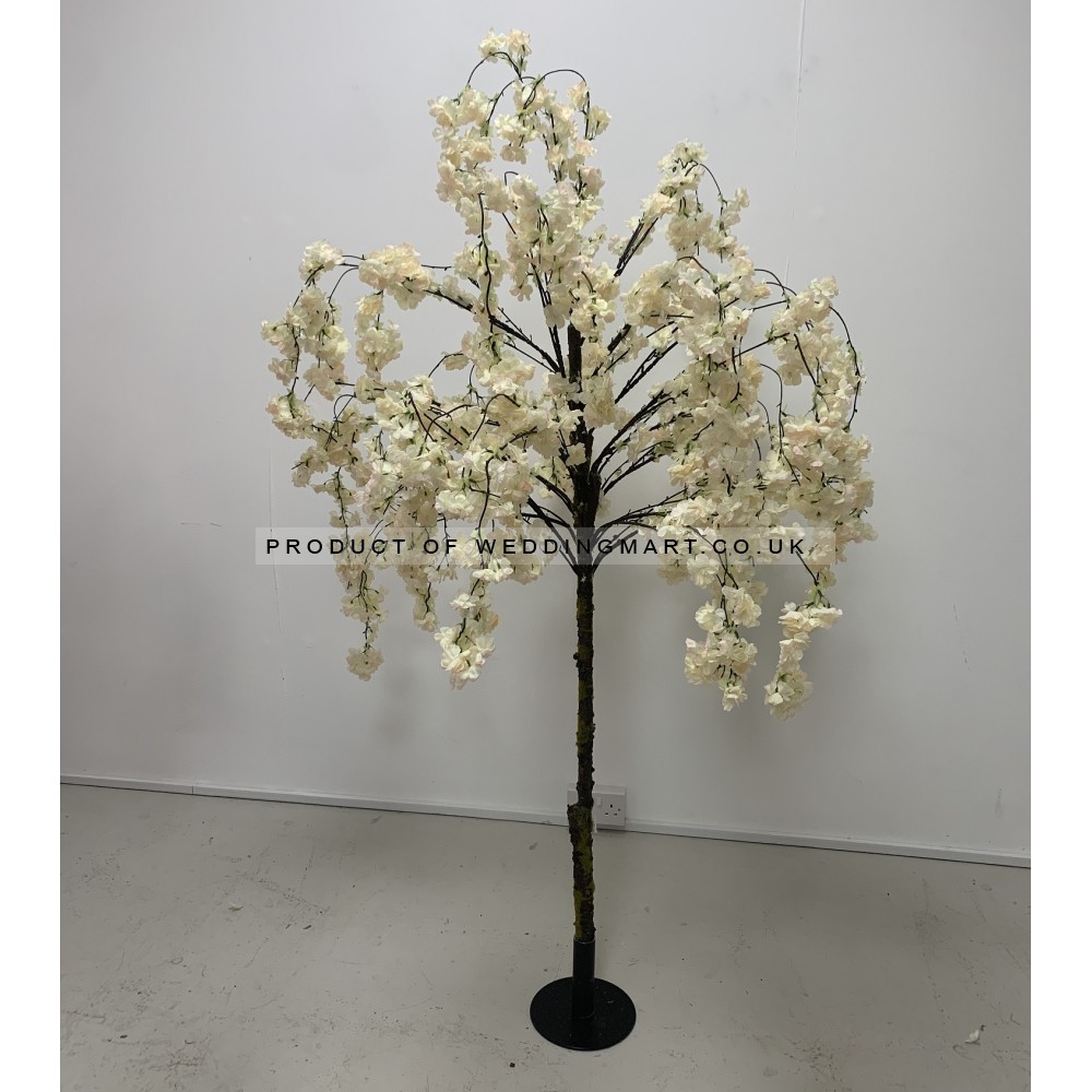 180cm Weeping Cherry Blossom Tree - IVORY