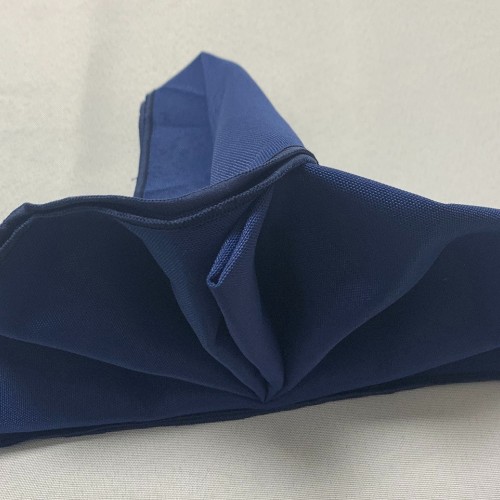 Polyester Napkins (Pack of 10) - Navy Blue