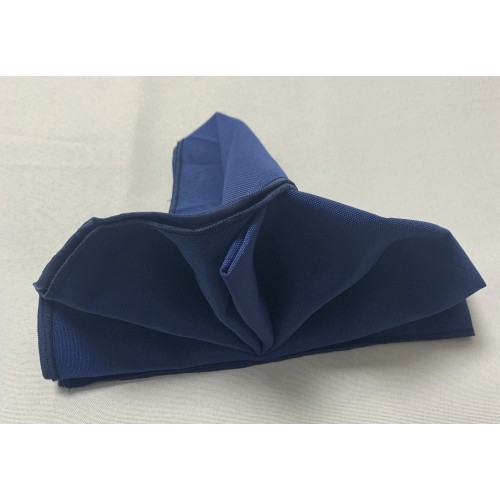 Polyester Napkins (Pack of 10) - Navy Blue