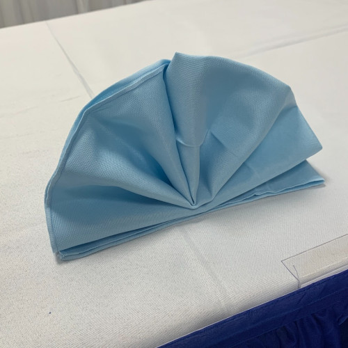 Polyester Napkins (Pack of 10) - Baby Blue – Wholesale Napkins for Wedding Decorators | WeddingMart