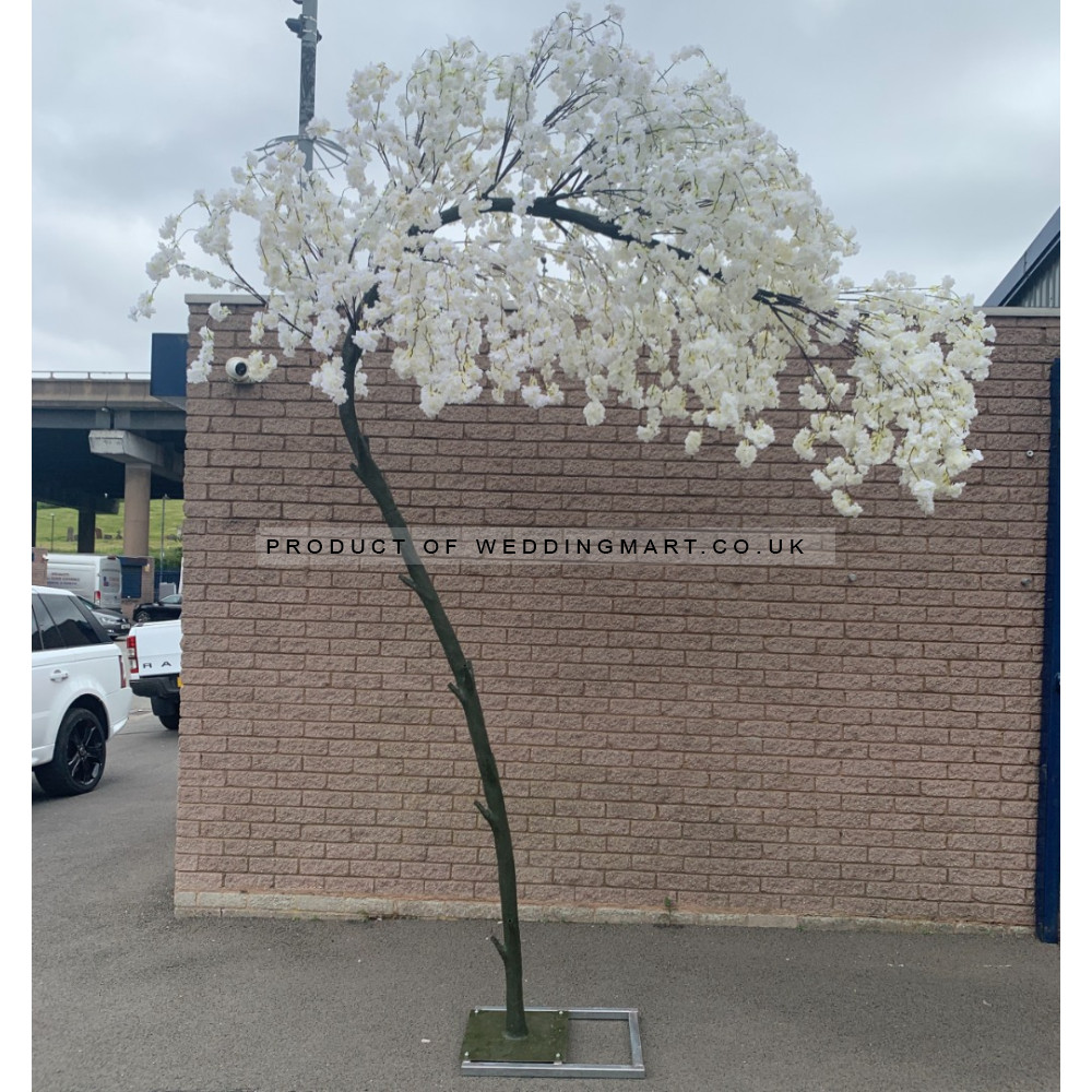 320cm Slimline Canopy Arch Weeping Cherry Blossom Tree - IVORY