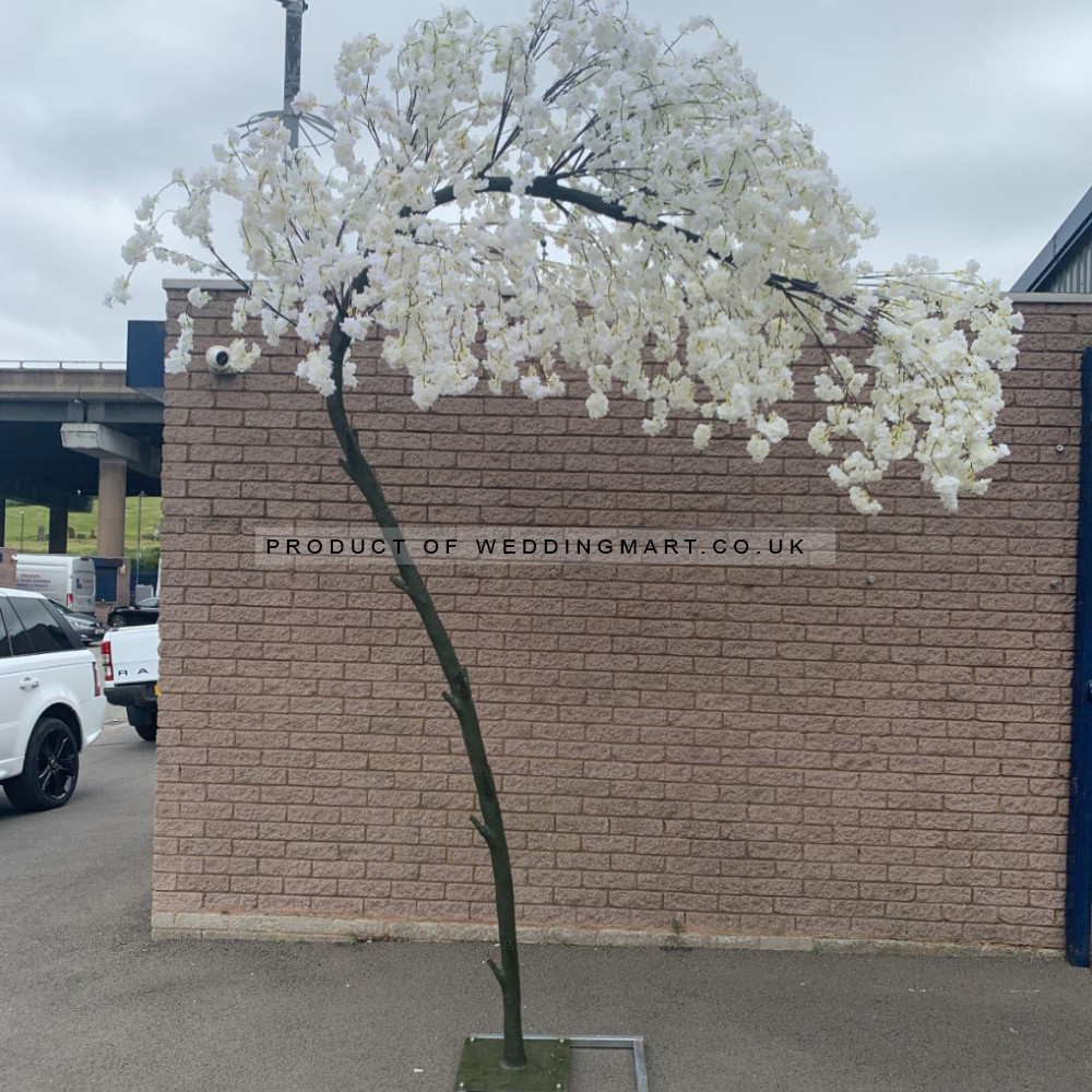 320cm Slimline Canopy Arch Weeping Cherry Blossom Tree - IVORY – Wholesale Canopy Arch Trees for Wedding Decorators | WeddingMart