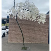 320cm Slimline Canopy Arch Weeping Cherry Blossom Tree - IVORY