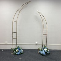Elegant Wedding Arch Frames ARX-24008-A