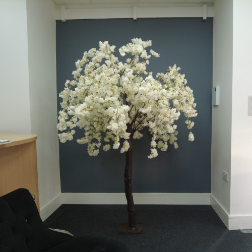 200cm Artificial Weeping Blossom Tree with Interchangable Branches - IVORY – Wholesale Big Artificial Trees and Plants for Wedding Decorators | WeddingMart