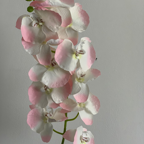 Artificial Butterfly Orchid - Light Pink – Wholesale Butterfly Orchids for Wedding Decorators | WeddingMart