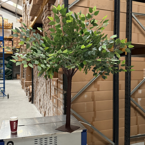 130cm Artificial Greenery Tree with Detachable Branches - Ficus – Wholesale Blossom Tree Centrepieces for Wedding Decorators | WeddingMart