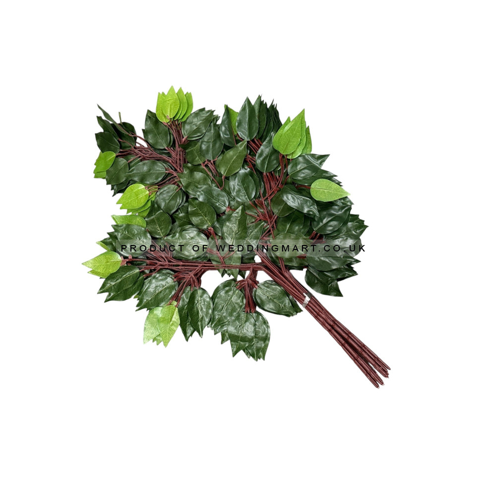 60cm Artificial Ficus Foliage Sprays  (Pack of 12) - Light Green