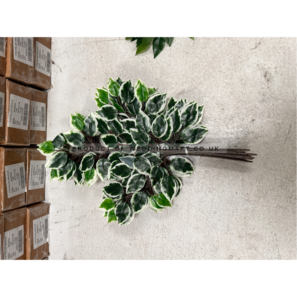 60cm Artificial Ficus Foliage Sprays  (Pack of 12) - Green and White