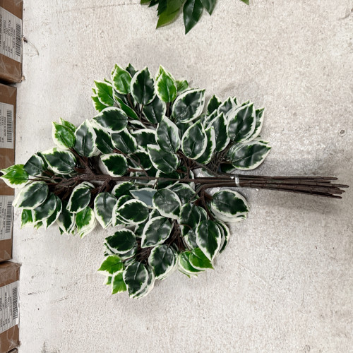 60cm Artificial Ficus Foliage Sprays  (Pack of 12) - Green and White – Wholesale Tree Leaves and Sprays for Wedding Decorators | WeddingMart