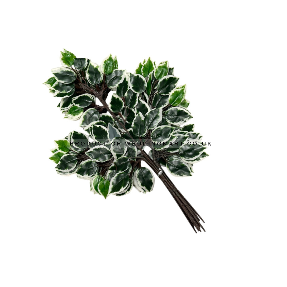 60cm Artificial Ficus Foliage Sprays  (Pack of 12) - Green and White