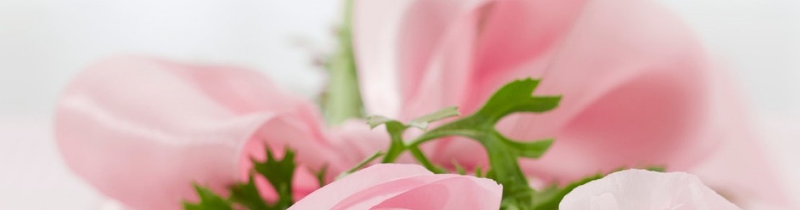 7 Things That Every Successful Event Planner Needs