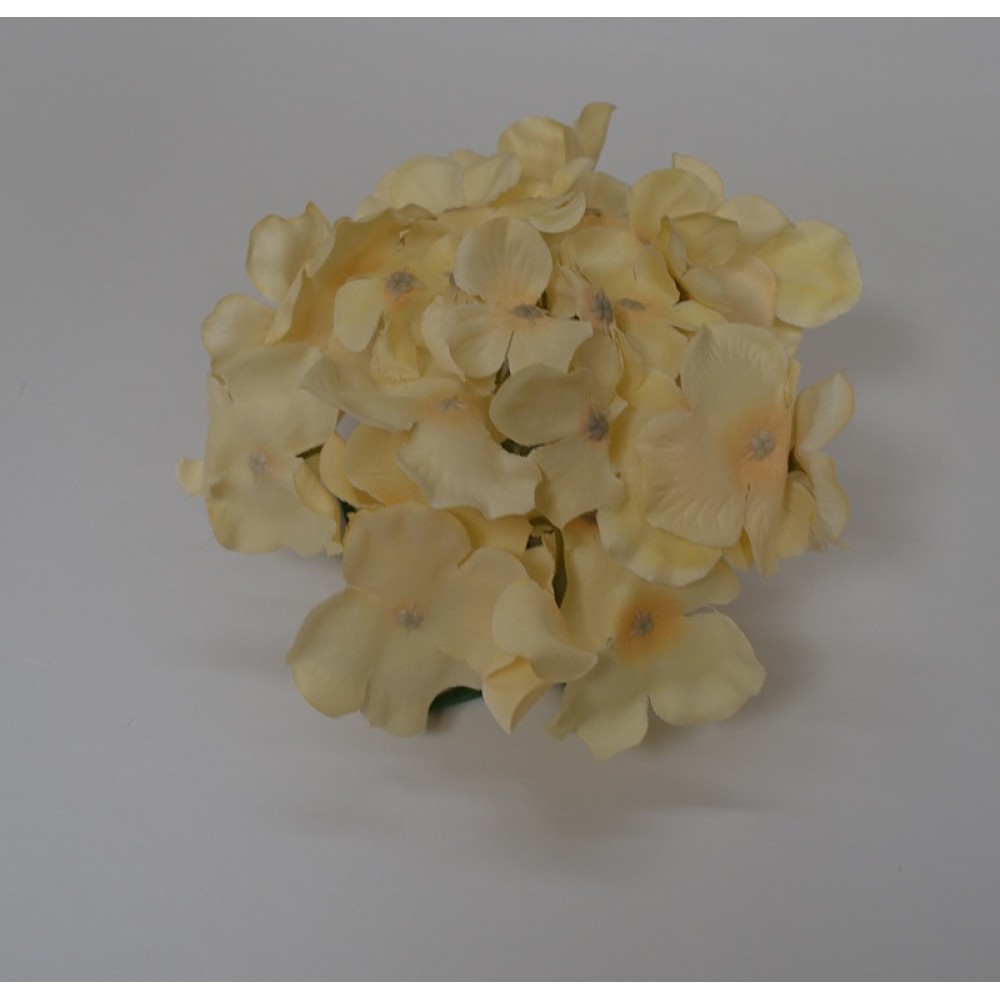 Cream Hydrangea Flower Heads - Pack of 10