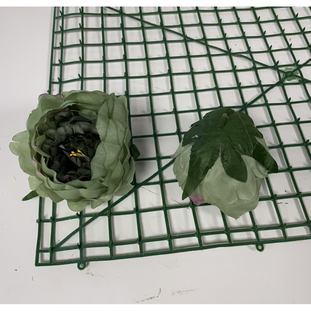 Dark Green Peony Heads Closed - Pack of 10