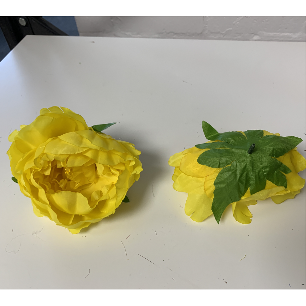 Yellow Peony Heads Closed - Pack of 10