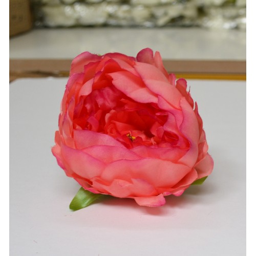 Orange Peony Heads Closed - Pack of 10