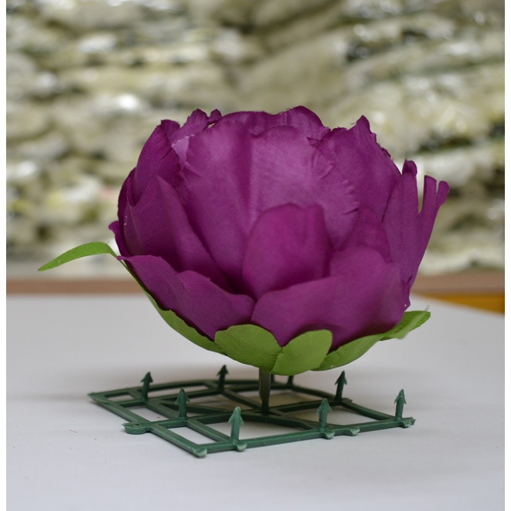 Purple Peony Heads Closed - Pack of 10