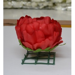 Red Peony Heads Closed - Pack of 10